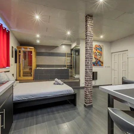 Apartment Street Loft With Sauna Saint-Etienne (Loire)