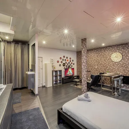 Street Loft With Sauna Apartment *